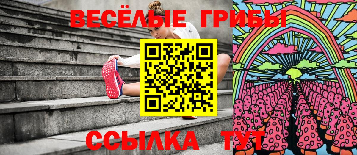 Галлюциногенные грибы Psilocybine cubensis  Вход с VPN  Протвино 