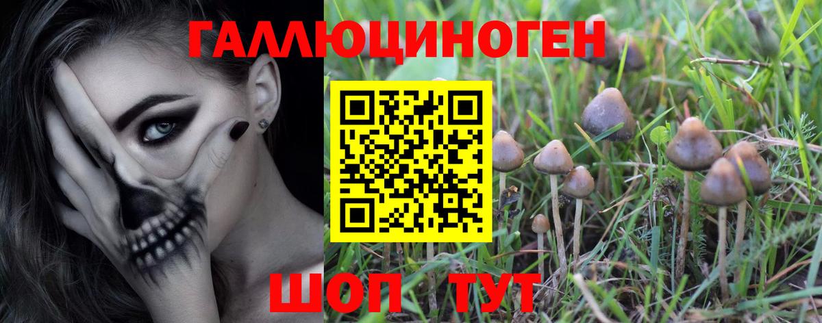 Галлюциногенные грибы MAGIC MUSHROOMS Протвино
